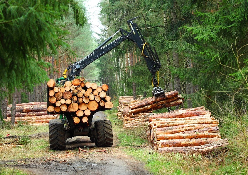 A logging truck driver loads up