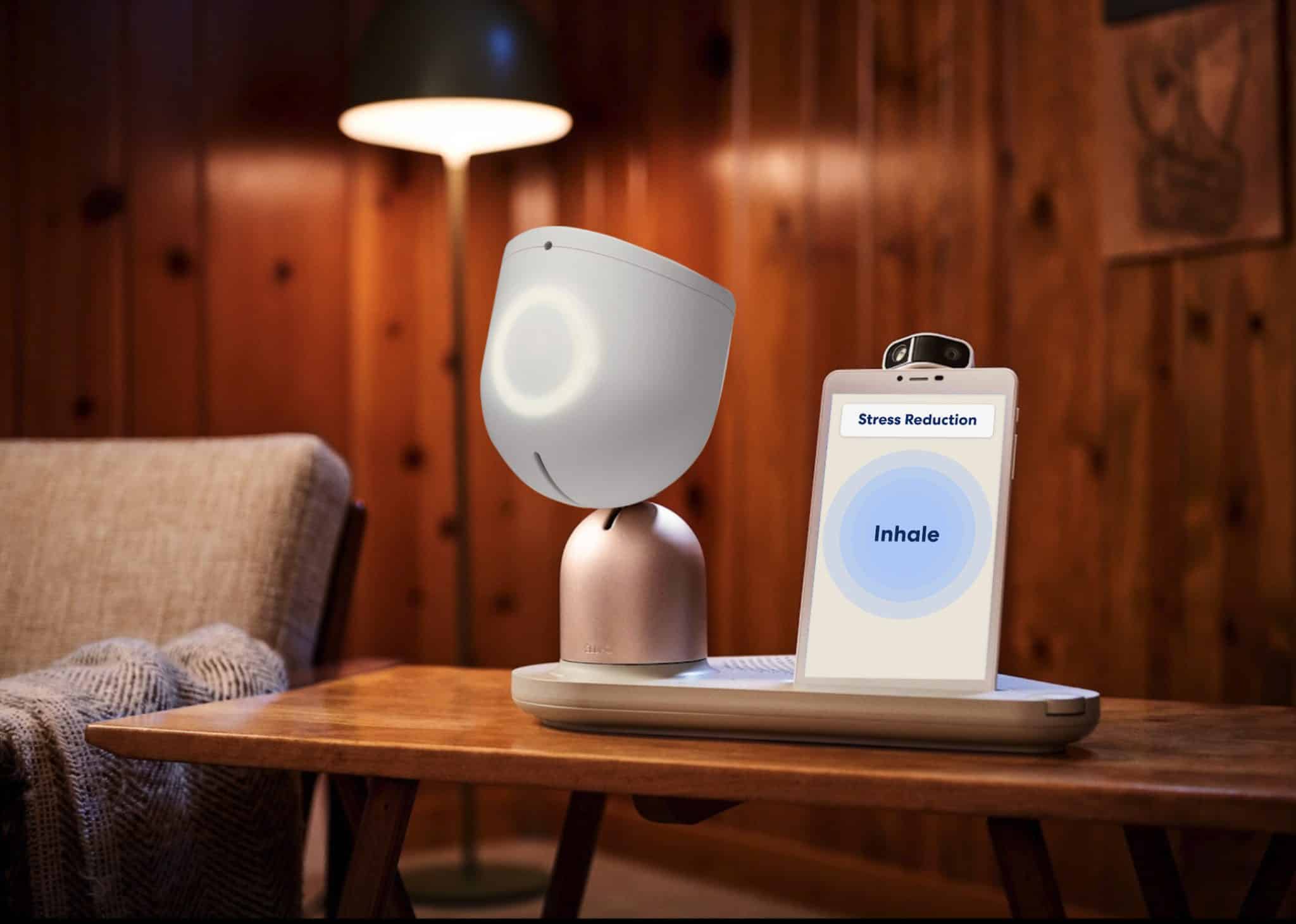 ElliQ companion robot