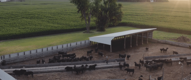 Beef manufacturer