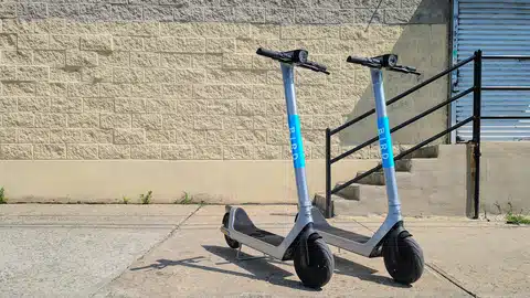 Bird rental scooters
