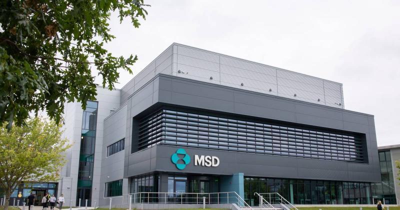 MSD Ireland