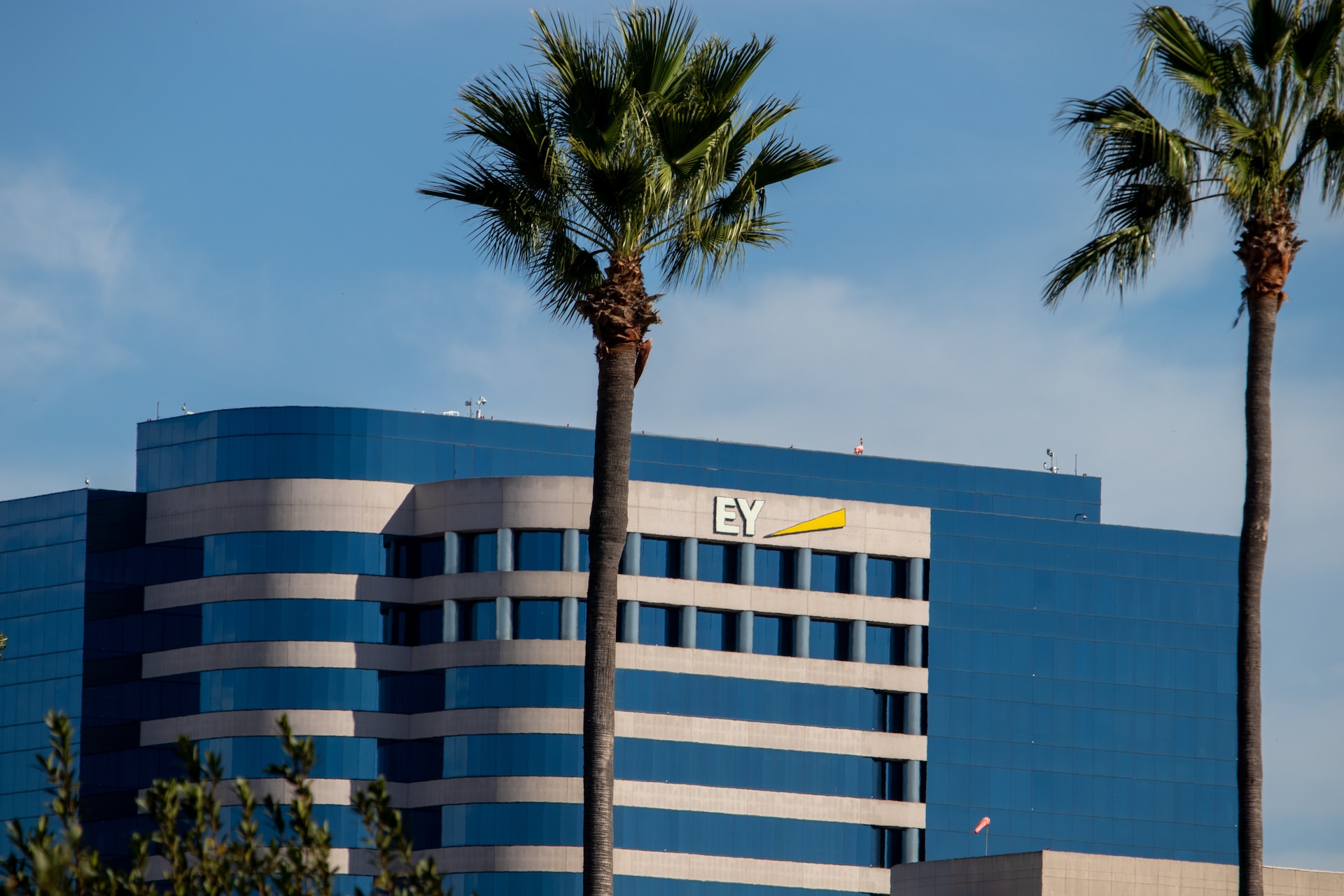 Ernst & Young