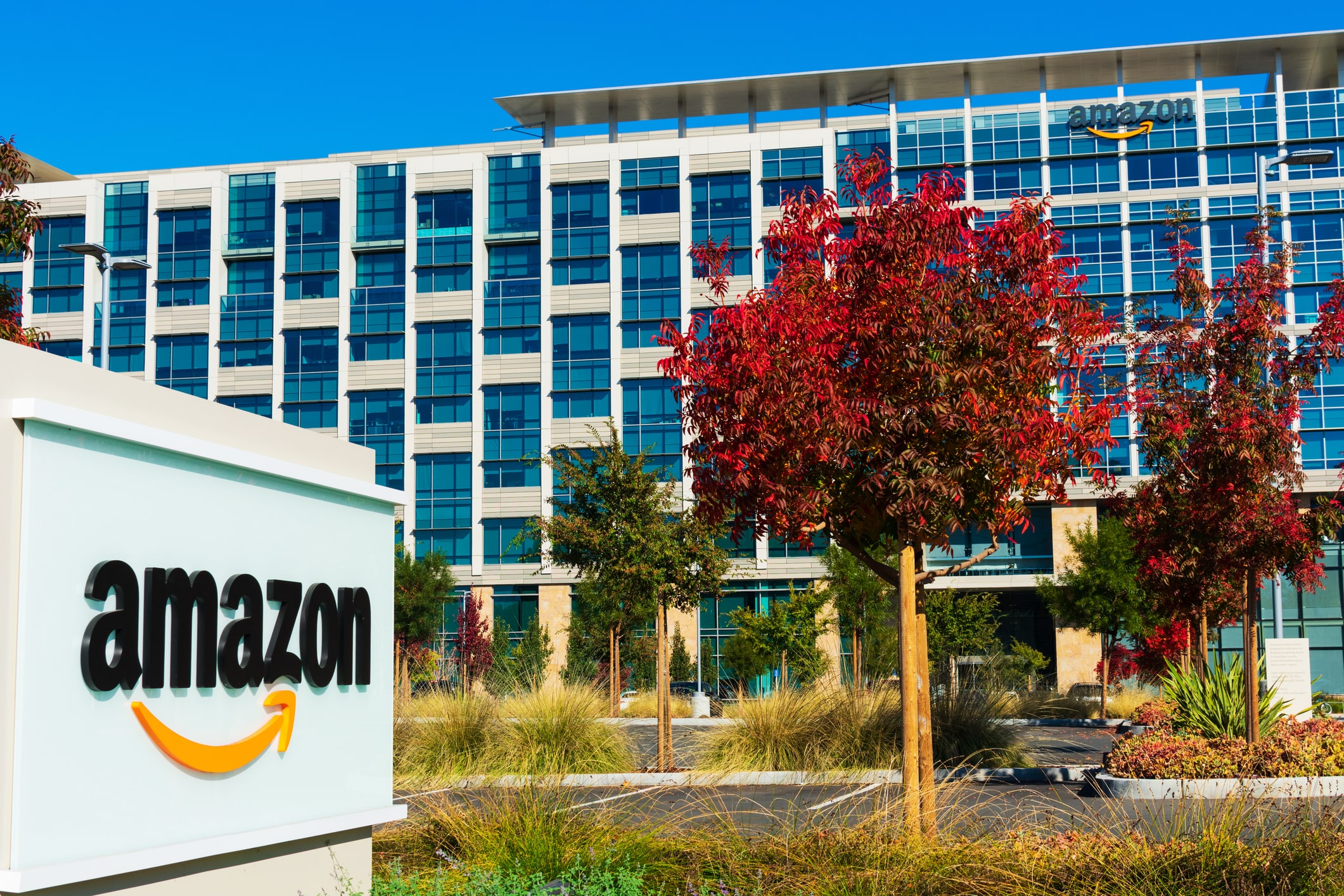 Amazon