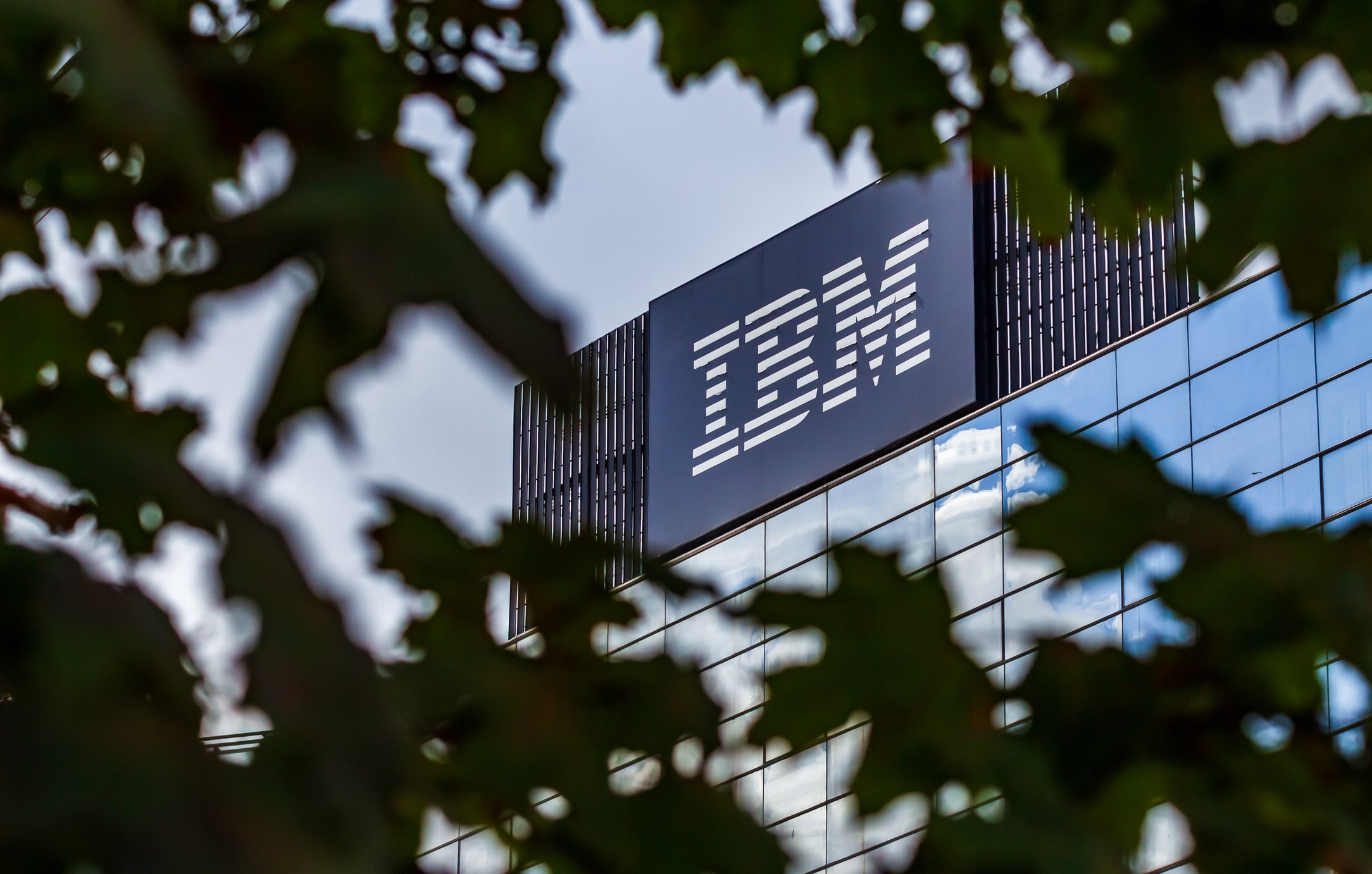 IBM