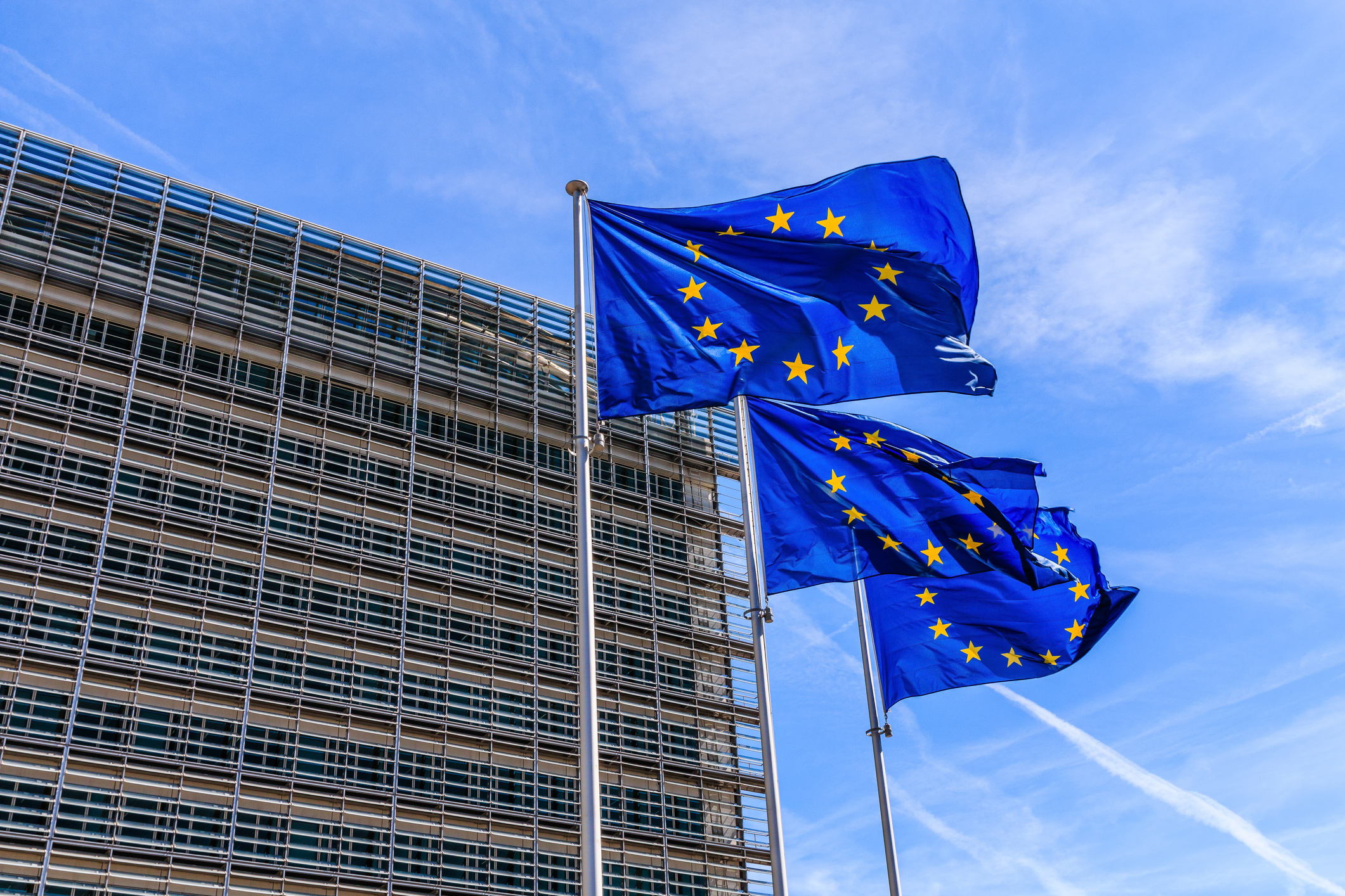 EU Flag