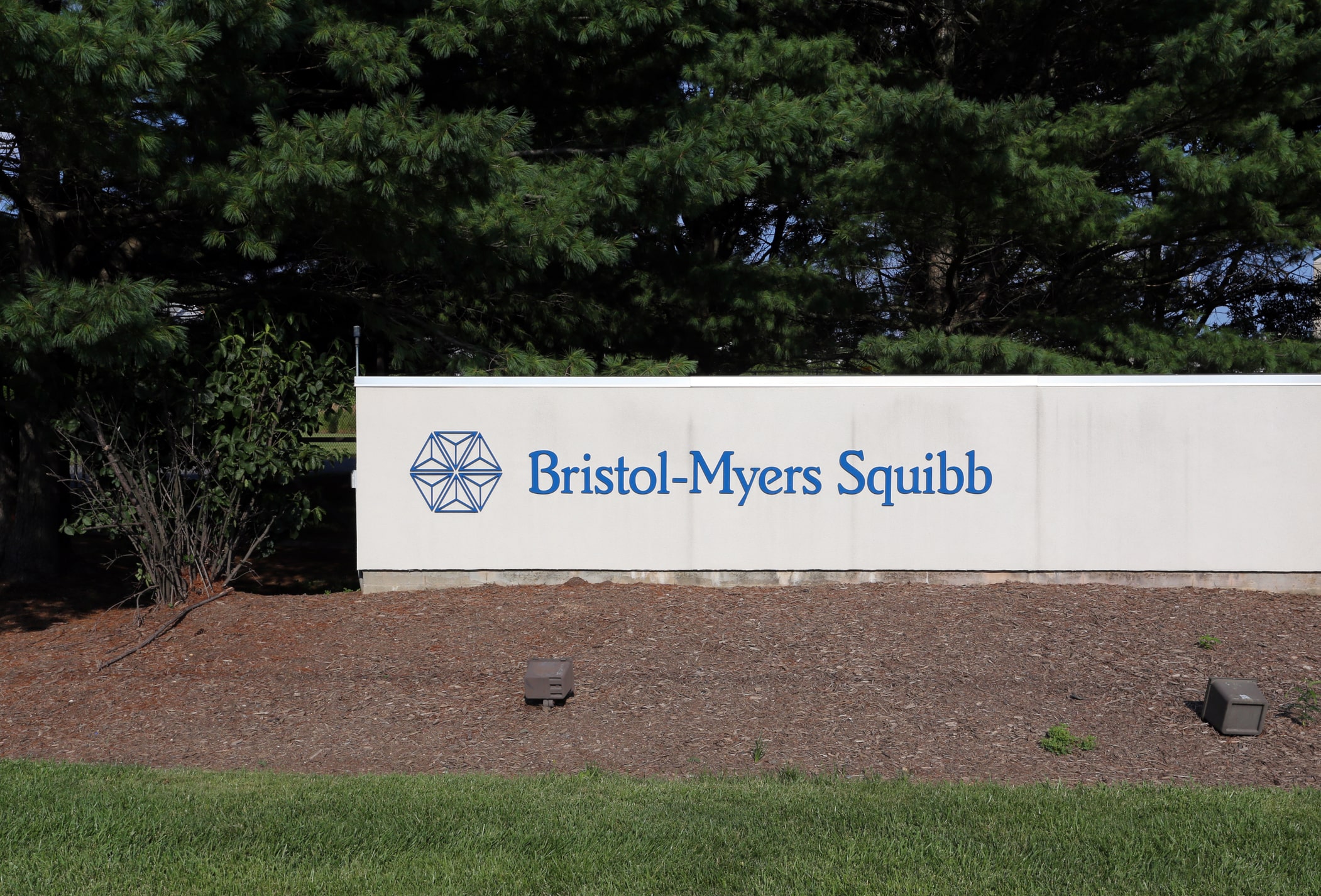 Bristol Myers Squibb