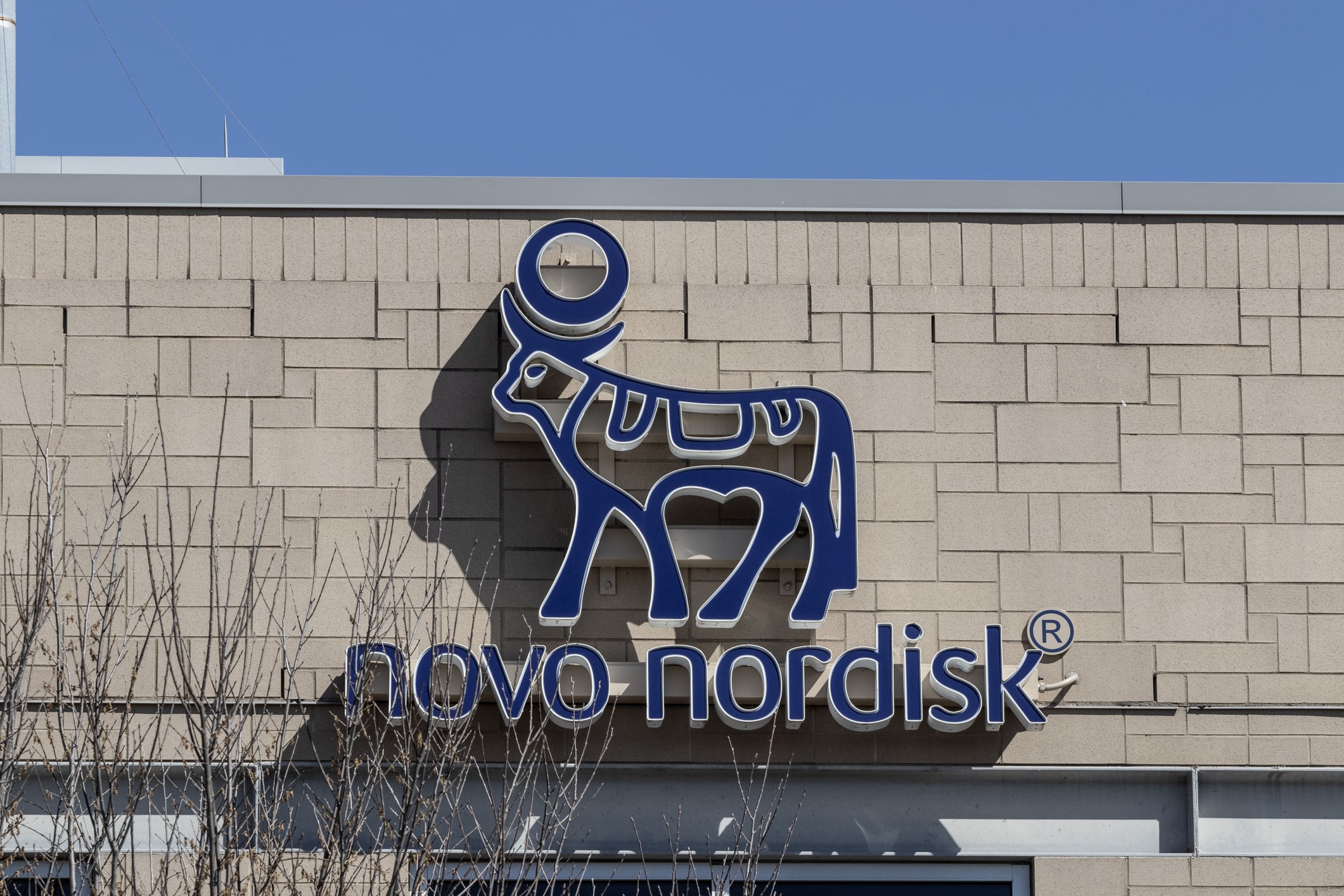 Novo Nordisk