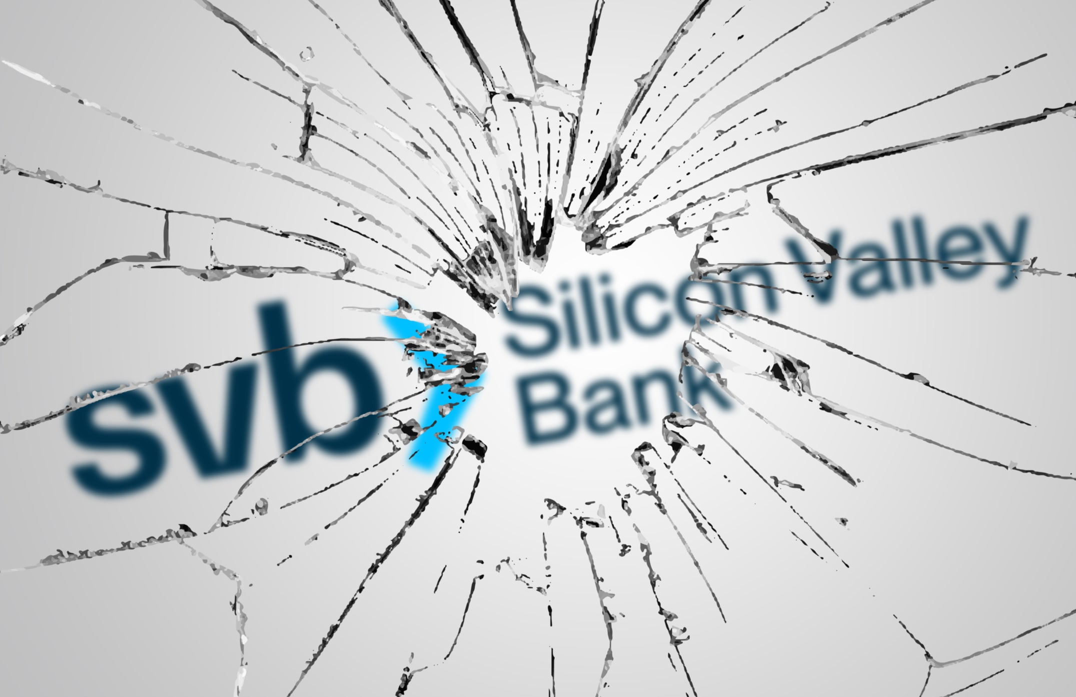 Silicon Valley Bank