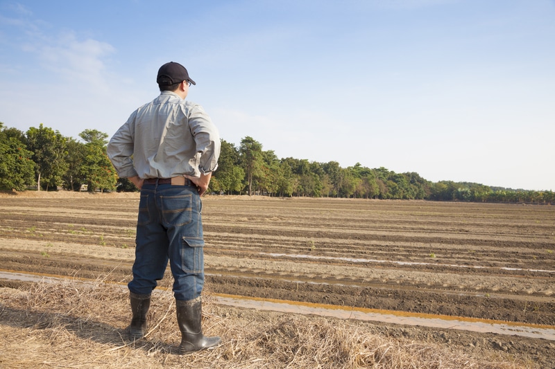 farmer standing on his farm