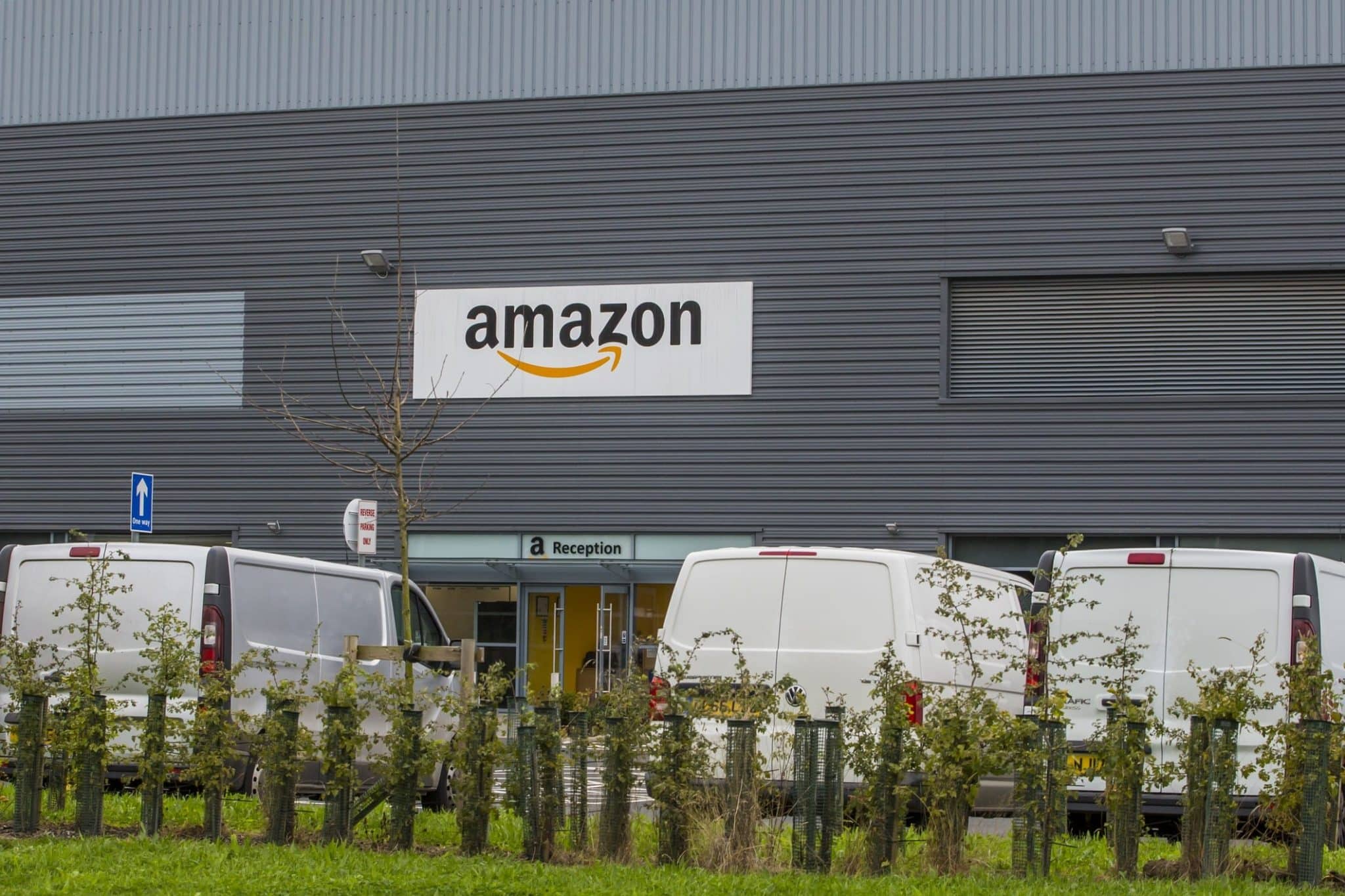 Amazon