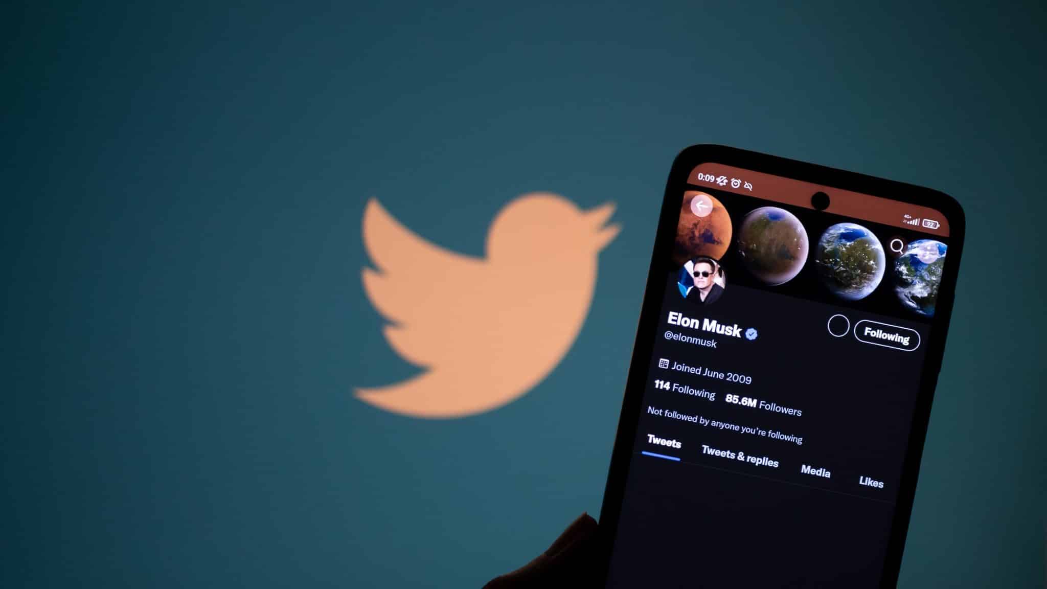 Elon Musk's Twitter profile