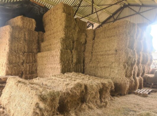 Bales of Hay that fell on worker Christopher Rolfe