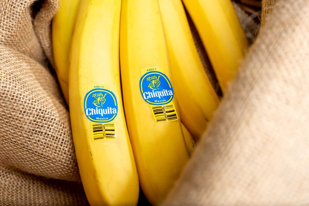 Chiquita banana bunch