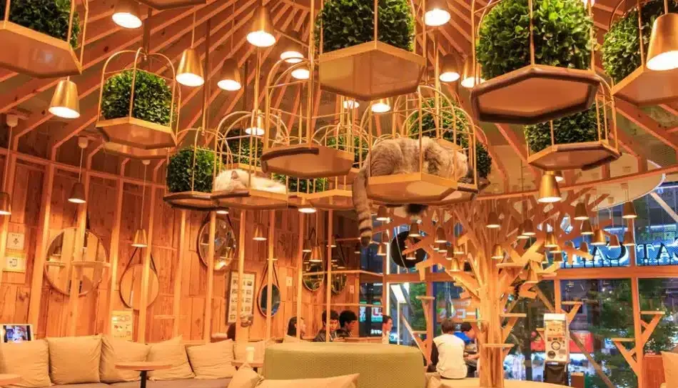 10 Weird Business Ideas That Proved To Be Brilliant