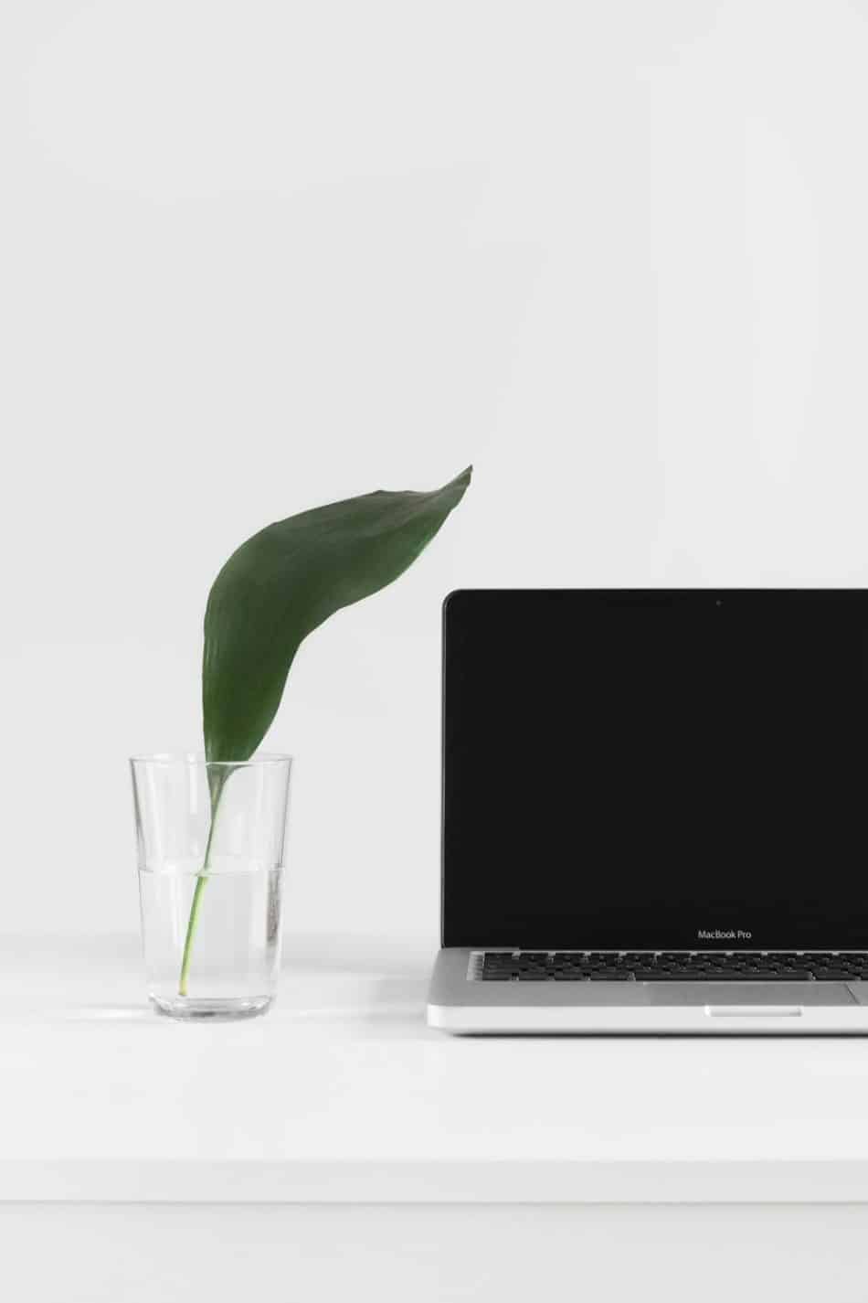 Green Matters: Why You Need Sustainability In Your Business Procedures
