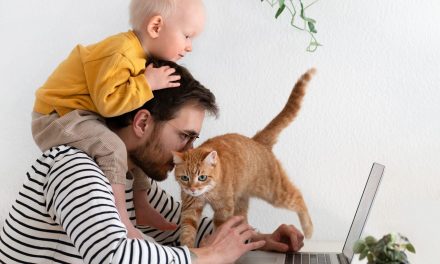 Five of the best work from home jobs in the US