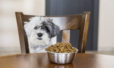 Weird Jobs: What it’s like to earn $34,000 a year tasting pet food