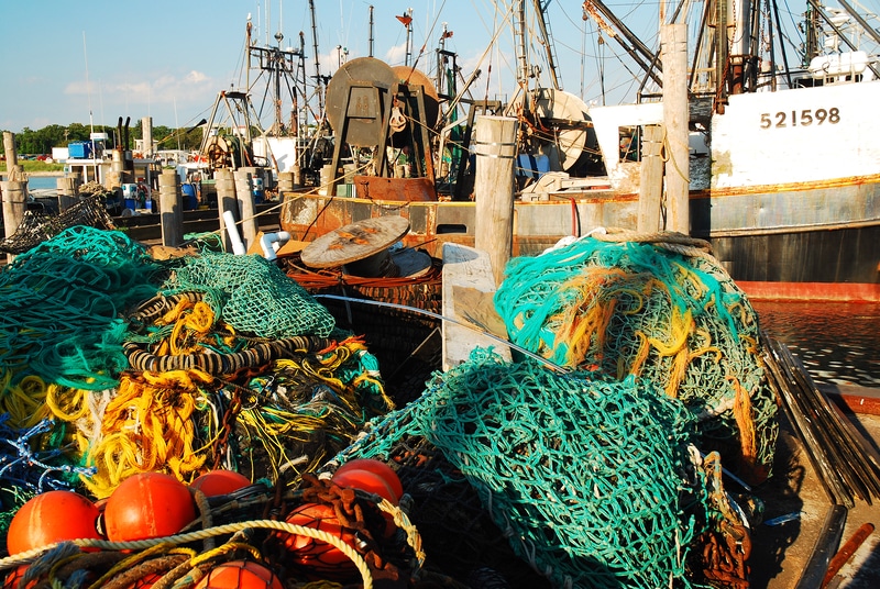 Commerical fishing nets
