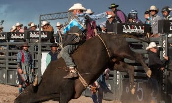 A bull rider at an event in America